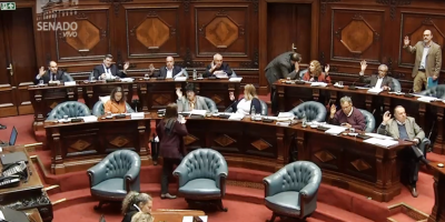 El Frente Amplio impidi� que prosperara en el Senado una moci�n de condena �a la dictadura de Maduro"