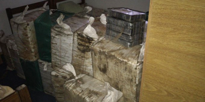 Incautaci�n de droga en Parque del Plata: se entregaron dos sujetos ante Fiscal�a