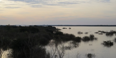 Buscan a un hombre que arreaba ganado en Minas y fue arrastrado por la crecida de un arroyo 