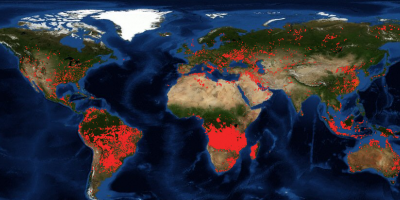 Incendios en el mundo: ardieron 500 mil hectreas en la Amazonia en 16 das y este mircoles el humo dej a San Pablo en la oscuridad