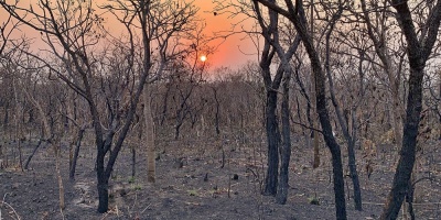 Bolsonaro reitera que ONG son "mayores sospechosas" por incendios en Amazona