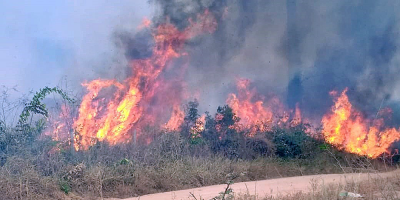 Macri, "alarmado" por los incendios en la Amazona, ofrece ayuda de Argentina