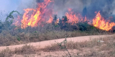 Argentina enva 200 bomberos a Amazona para ayudar en extincin de incendios