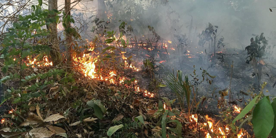El gobierno intentar influir a sus socios para encontrar soluciones en Amazonia