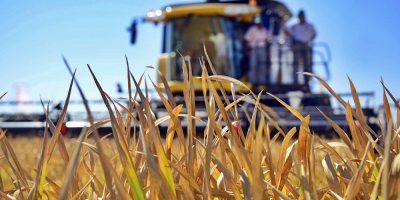 Preocupacin en cultivadores de arroz por falta de respuesta del Gobierno