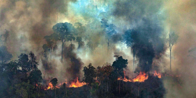 Fiscala de Brasil pide accin "urgente" para evitar ataque a tierra indgena