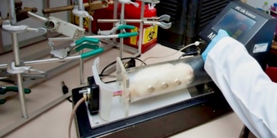 Expertos identifican casi 8000 cepas de bacterias en aparato digestivo