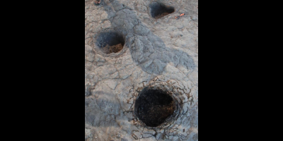 Tacuaremb y Ro Negro seran departamentos apropiados para profundizar la bsqueda de restos de dinosaurios