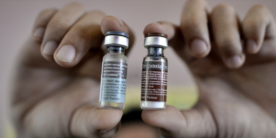 Brasil registra este a�o casi 1,5 millones de casos de dengue y 591 muertes