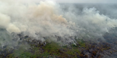 El humo de los incendios ahoga al Sudeste Asi�tico