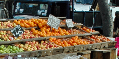 Naranjas rechazadas en Italia se podran comercializar cuando las devuelvan