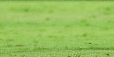 Flamengo manda en Brasil y Palmeiras vuelve a ser su escolta