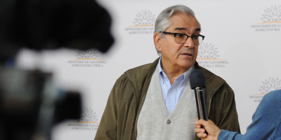 El Gobierno anuncia la apertura del mercado de China para el ingreso de miel y carne equina
