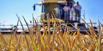 Brasil prev una reduccin del 1,0 % en su cosecha agrcola de 2020