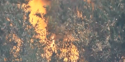 Importantes incendios afectaron tres balnearios en el departamento de Rocha