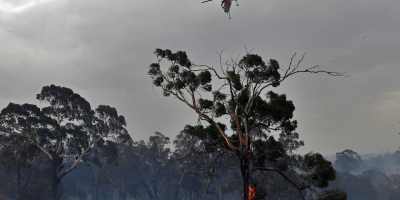 Las elevadas temperaturas avivan los graves incendios forestales en Australia