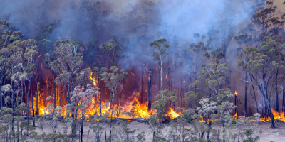 Australia prepara ayudas millonarias para la recuperacin por los incendios