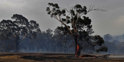 Bomberos trabajan en dos incendios desatados en Maldonado