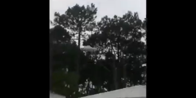Fuerza Area investigar el episodio del chancho que arrojaron en Jos Ignacio