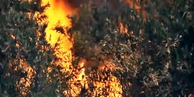 Sigue sin control el incendio en Rocha; Ya consumi 150 hectreas