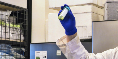 Una investigaci�n argentina permite detectar el dengue en diez minutos