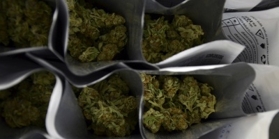 Paraguay tilda de histrico la concesin de licencias para cannabis medicinal