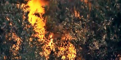 Investigan si los incendios en varios puntos de la costa de Canelones fueron intencionales 