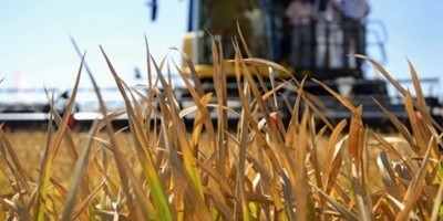 Aumenta la preocupacin de los productores rurales ante la falta de lluvias