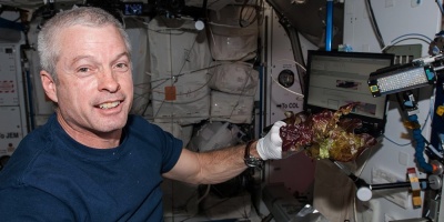 La NASA cultiva en el espacio lechugas sin microbios y seguras para consumo