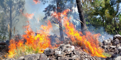 Combaten un incendio en un cerro prximo a la ciudad de Minas sobre ruta 8