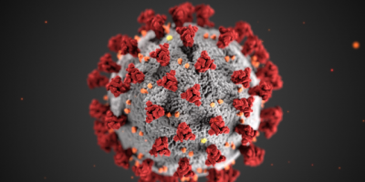 Delgado: Hay casos sospechosos de Coronavirus en varios departamentos
