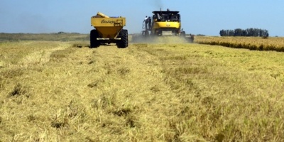 El sindicato de trabajadores rurales reclama ms medidas para evitar el riesgo de contagio de Covid-19