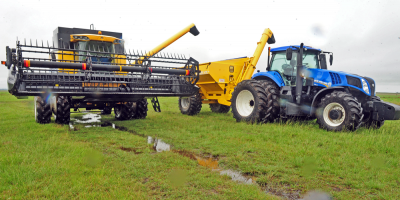 Expertos piden apoyar pequea produccin agropecuaria de Amrica por COVID-19