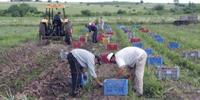 Hoy se celebra el Da del Trabajador Rural