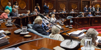 Senadores del FA rechazaron palabras de Lacalle Pou sobre el aborto y "agenda provida"