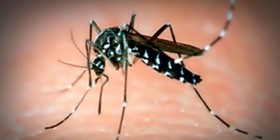 Paraguay reduce en un 99 % los casos de dengue con 100 reportes semanales