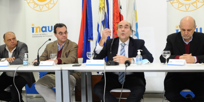 El INAU buscar facilitar las adopciones 