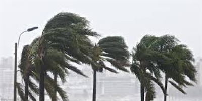 Meteorologa advirti que alerta amarilla por vientos fuertes rige hasta el lunes