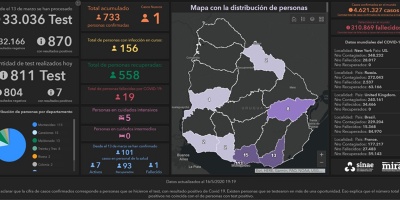 Hasta el momento hay 733 casos positivos confirmados de COVID-19