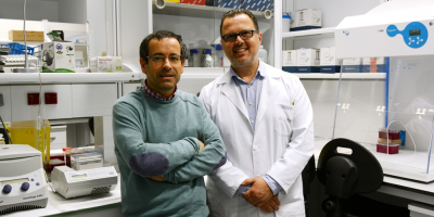Detectan en Espaa cepa de coronavirus que apenas afect a otros pases