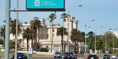 IMM reabri servicios que emiten licencias de conducir y empadronamientos