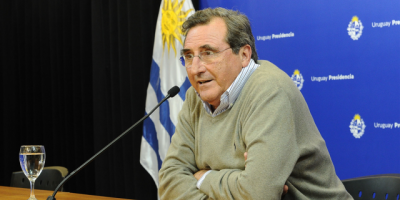 Castaingdebat: "la contratacin de la encuestadora (para el Mides) se haba resuelto antes de la emergencia"