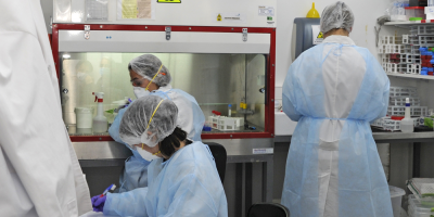 Un total de 8 nuevos casos de COVID-19 fueron detectados