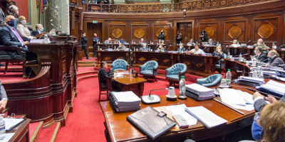 El plenario del Senado vot en general la LUC y hoy continuar la votacin en particular