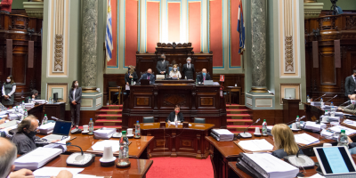 EN VIVO: El plenario del Senado realiza votacin en particular de la LUC