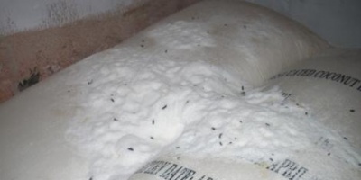 Empresario procesado por maniobra millonaria con alimentos vencidos