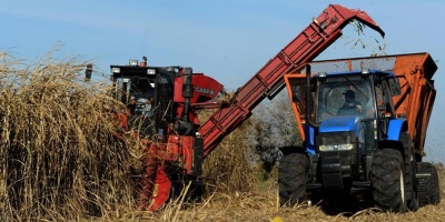 Hay preocupaci�n en Artigas porque 90 trabajadores de la zafra de ca�a de az�car no fueron convocados a�n por ALUR