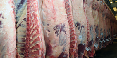Rige una baja de $15 en el precio del asado