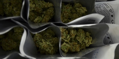 La ONU relaciona la legalizaci�n del cannabis con un aumento del consumo