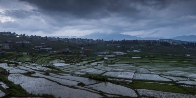 Una plaga de langostas entra en Nepal, una nueva amenaza en plena pandemia